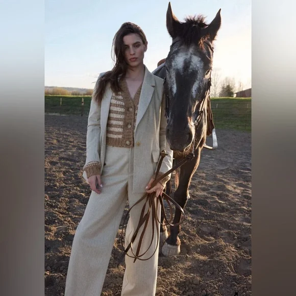 Z Supply Evette Pinstripe Pant New